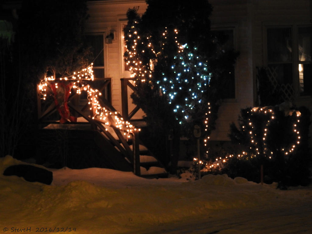 DSCN1575.jpg
