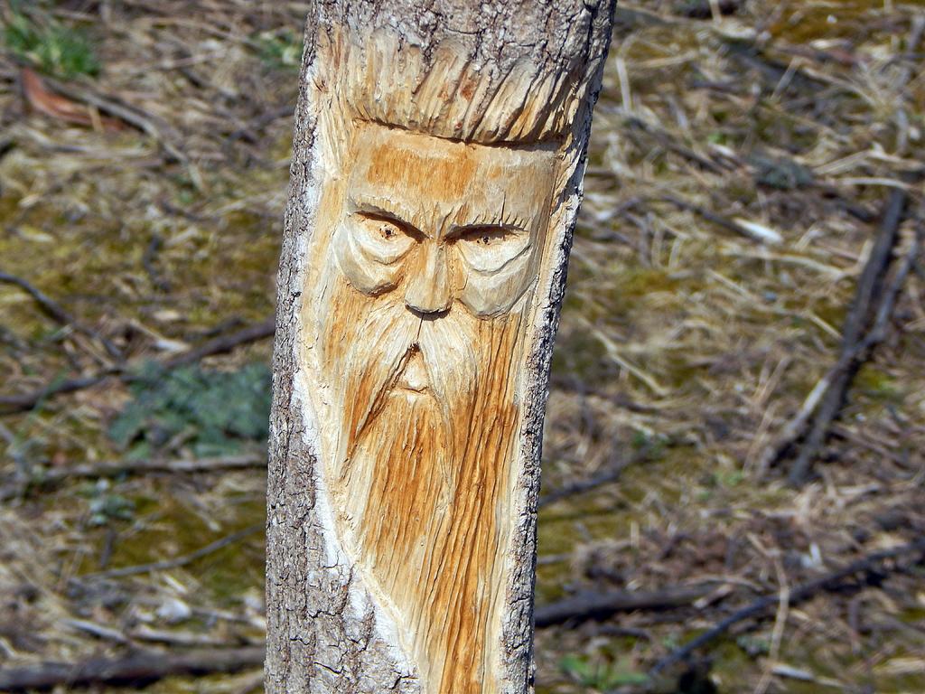 DSCN1578.jpg