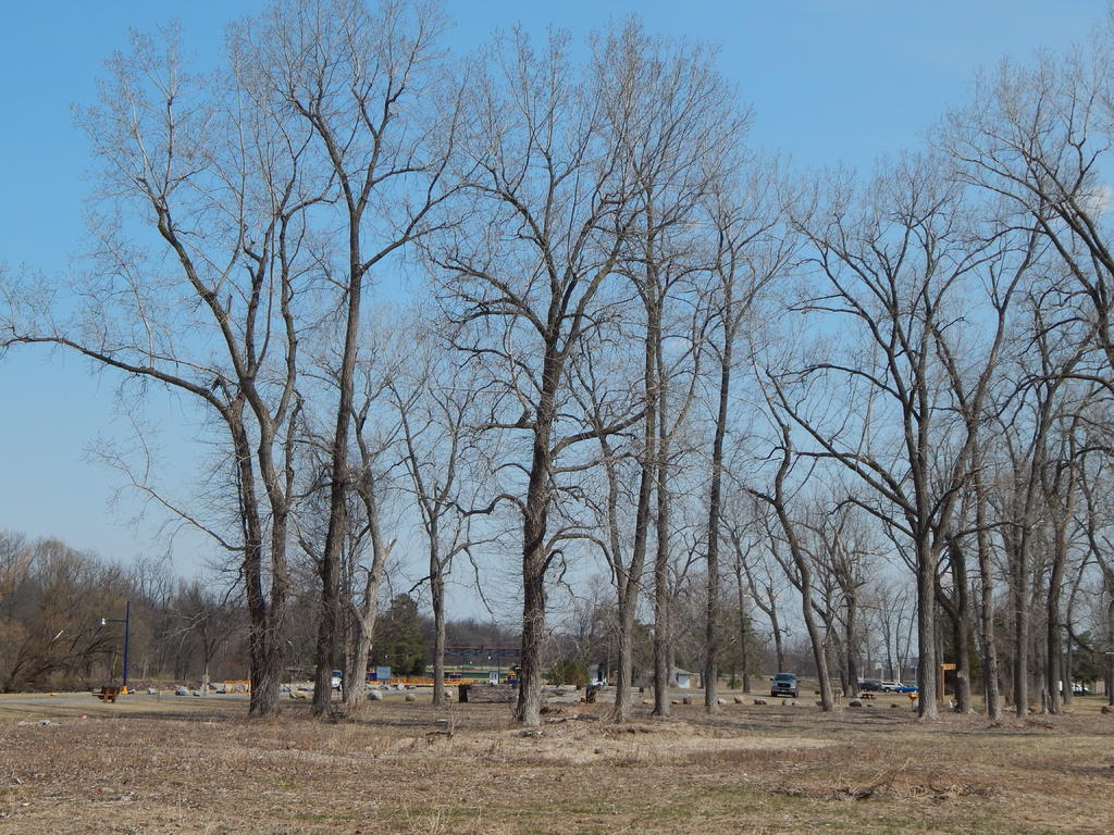 DSCN1579.jpg