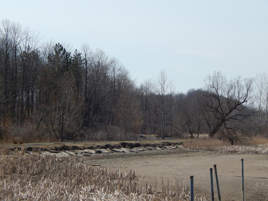 DSCN1581.jpg