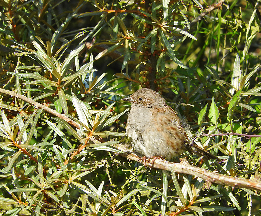 DSCN1585.jpg