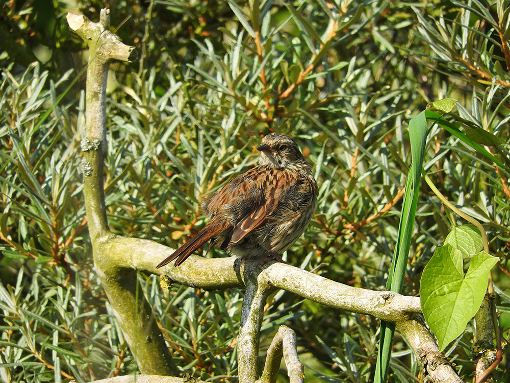 DSCN1589.jpg