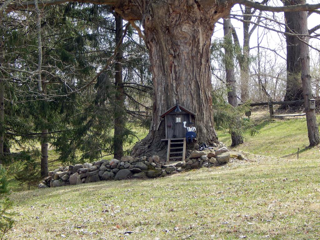 DSCN1609.jpg