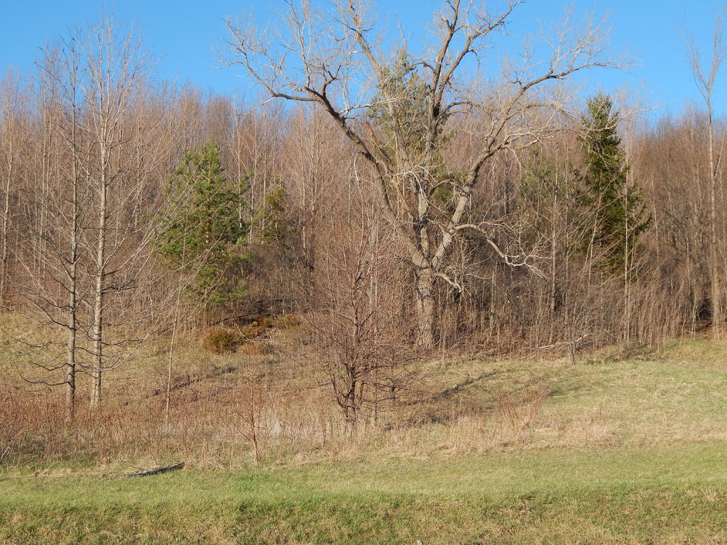 DSCN1624.jpg