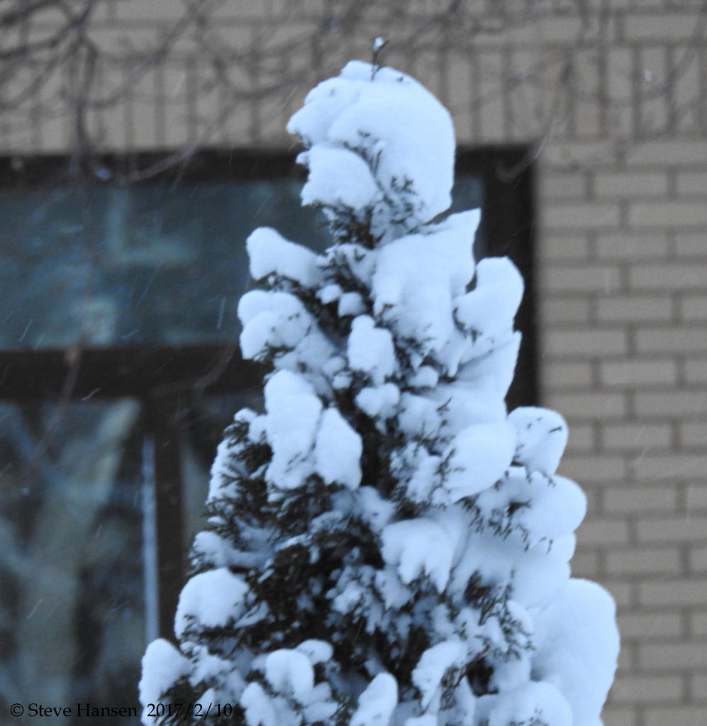 DSCN1630.jpg
