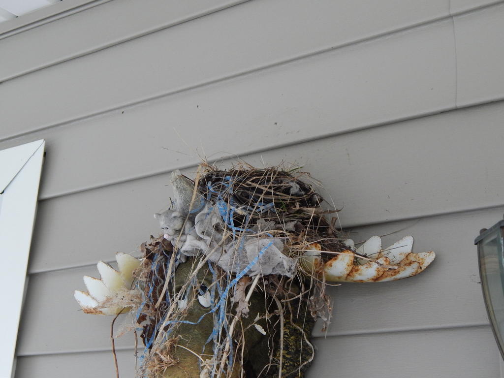 DSCN1643.jpg