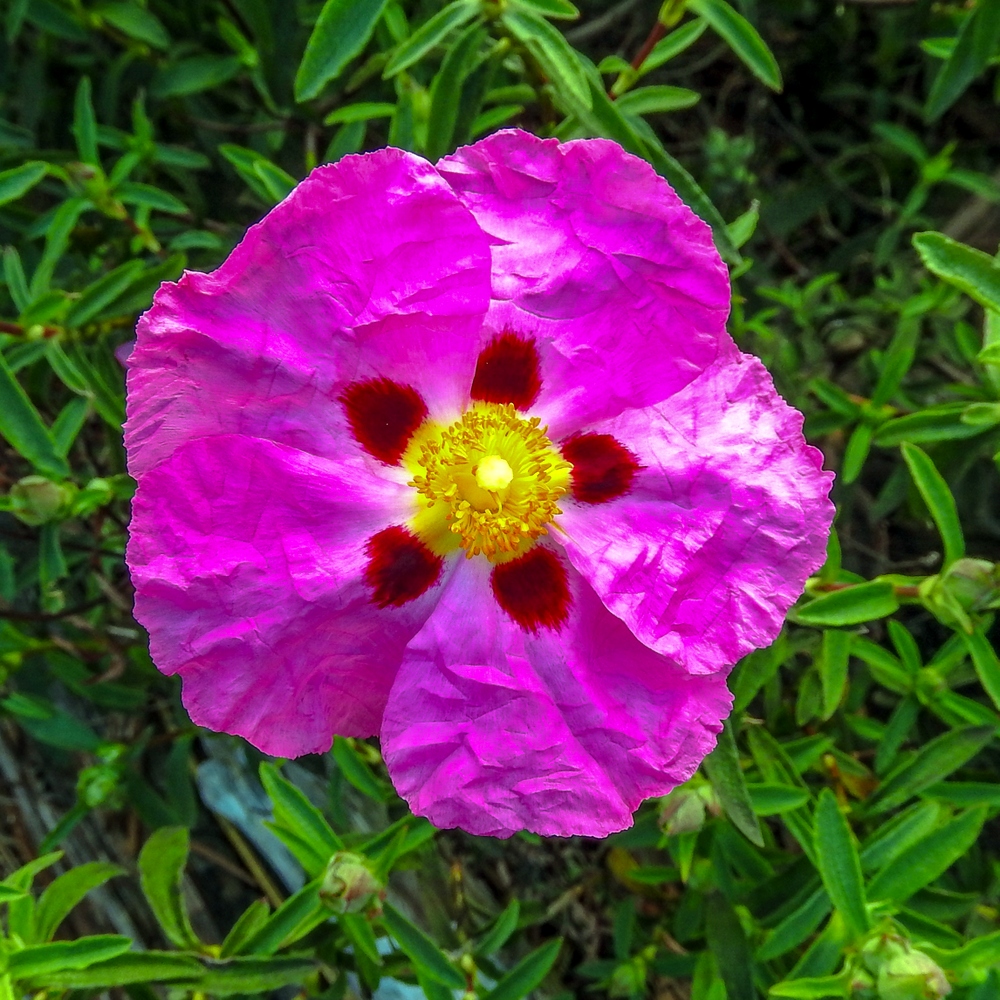 DSCN1666.jpg