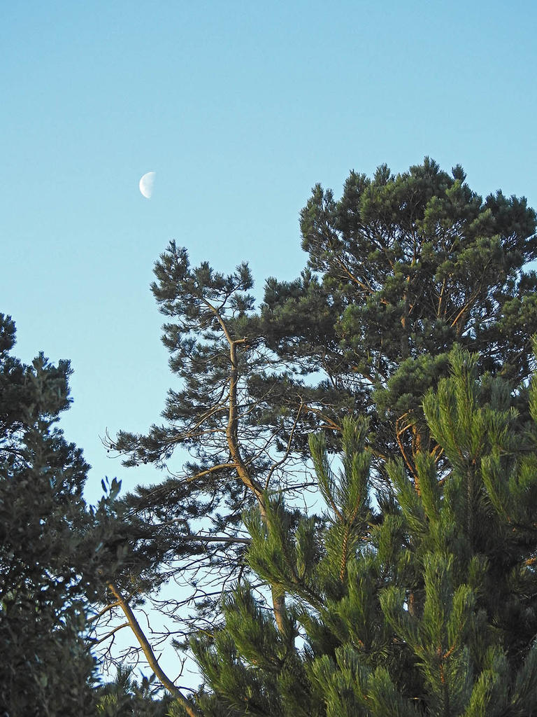 DSCN1667.jpg