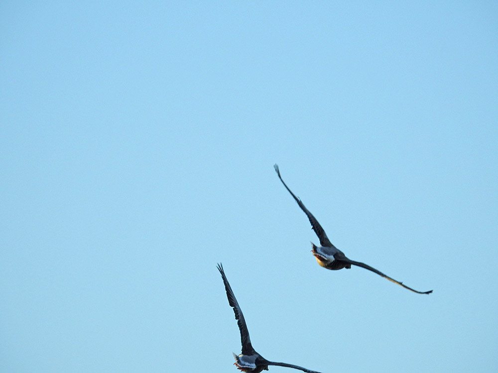DSCN1677.jpg