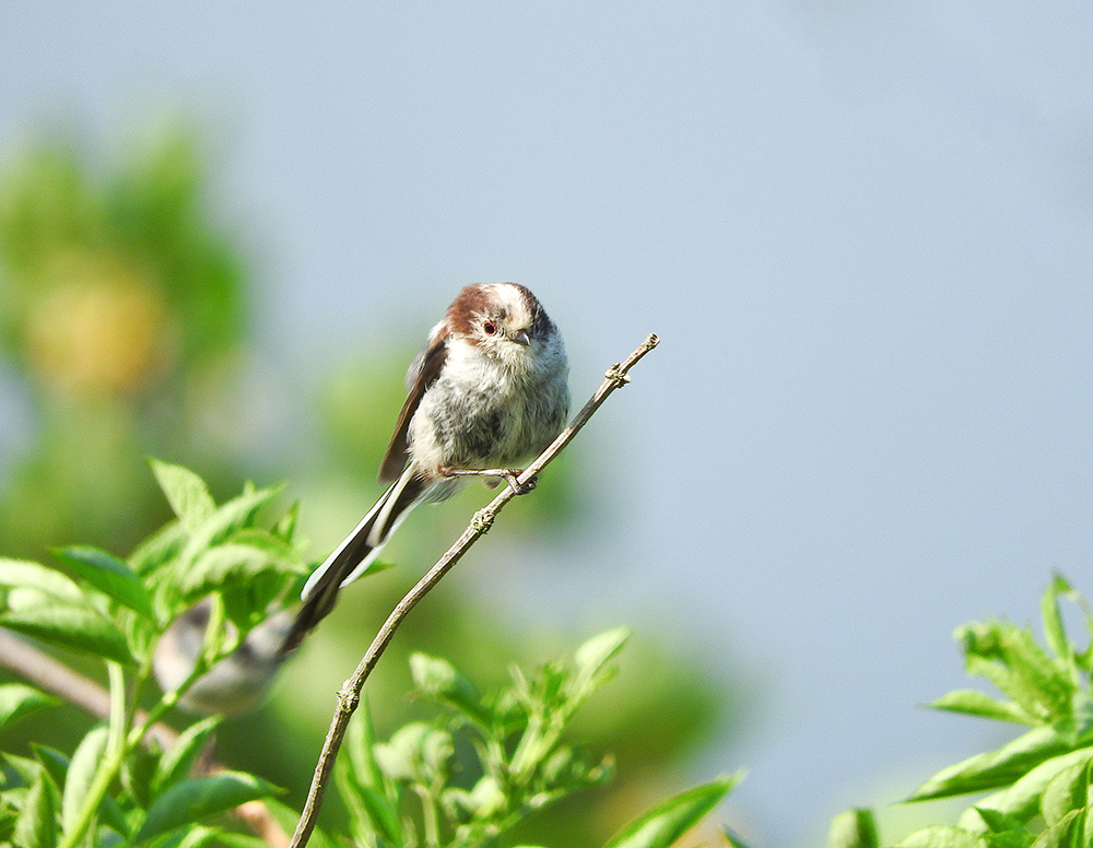 DSCN1718.jpg