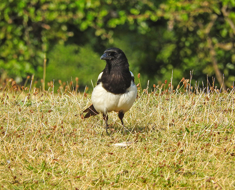 DSCN1727.jpg