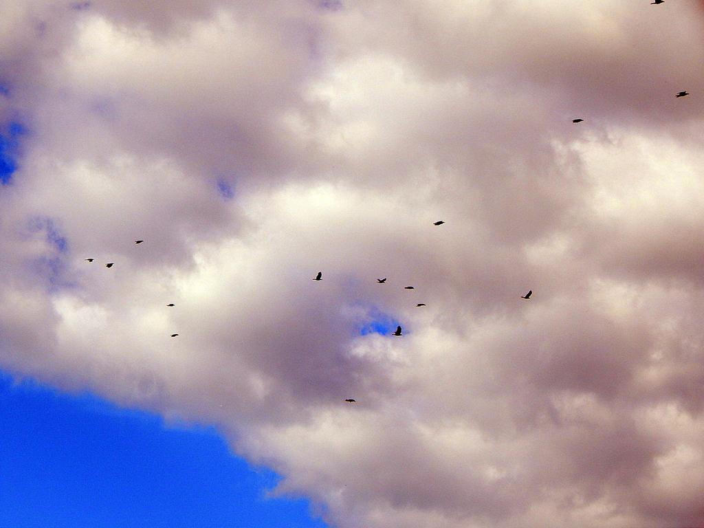 DSCN1735.jpg