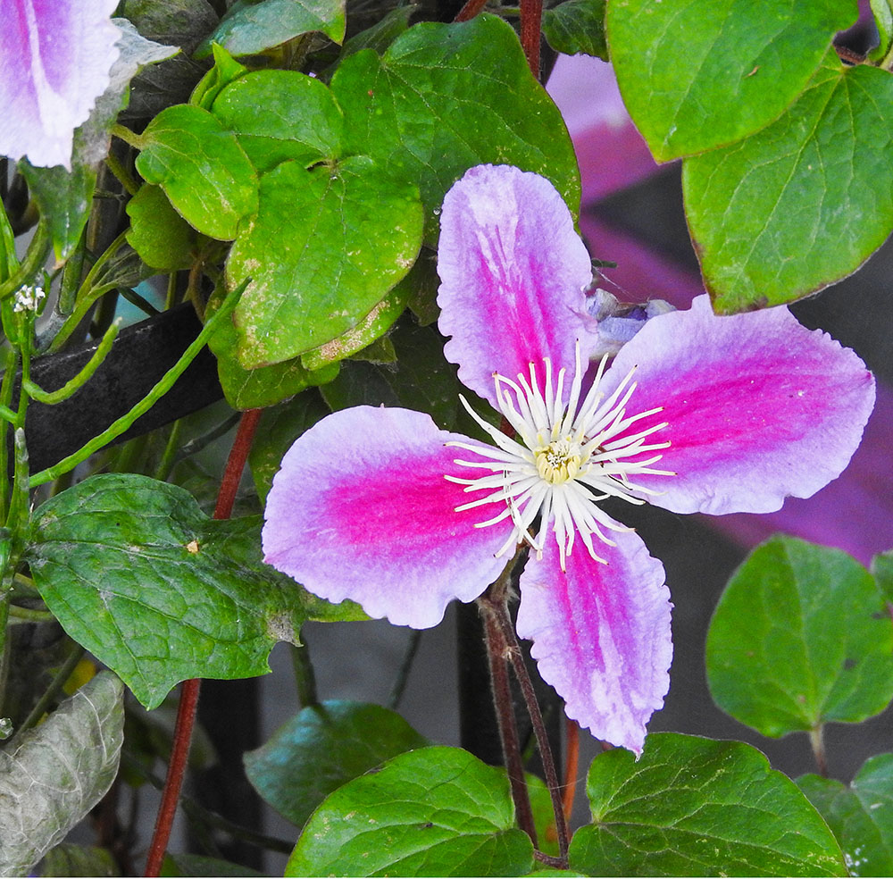 DSCN1749.jpg
