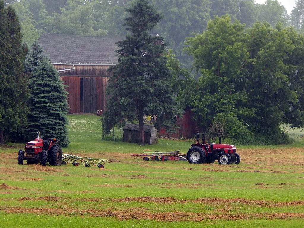 DSCN1775.jpg