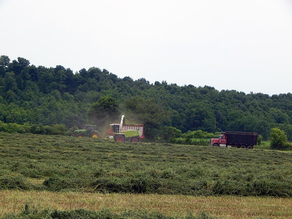 DSCN1792.jpg