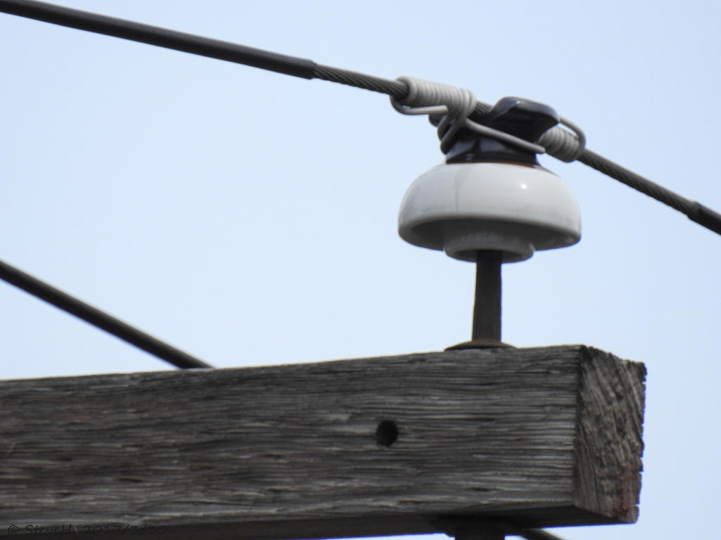 DSCN1817.jpg