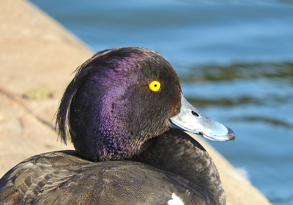 DSCN1821.jpg