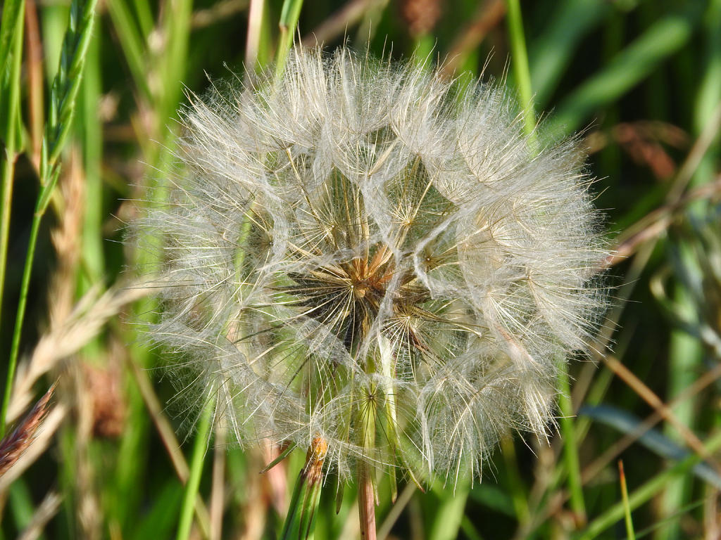 DSCN1826.jpg