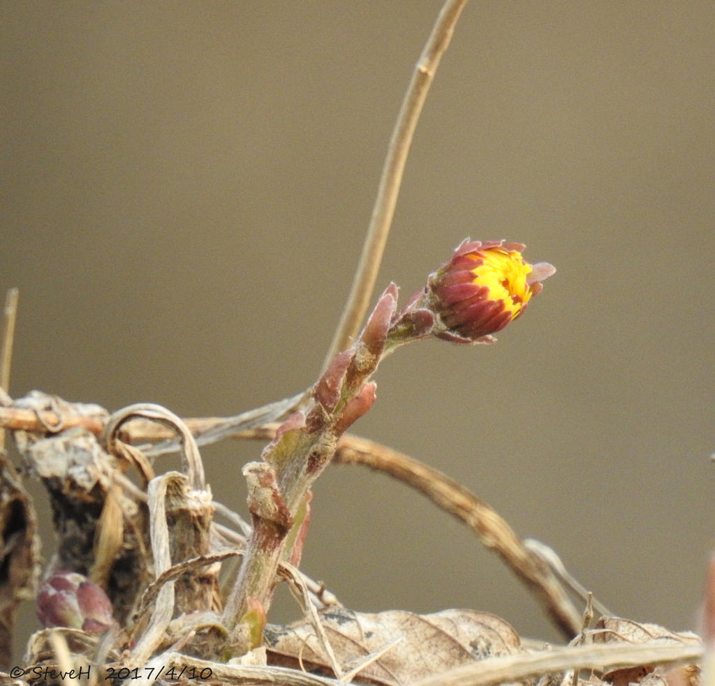 DSCN1835.jpg