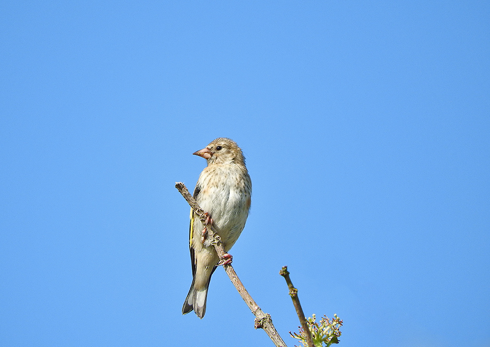 DSCN1837.jpg