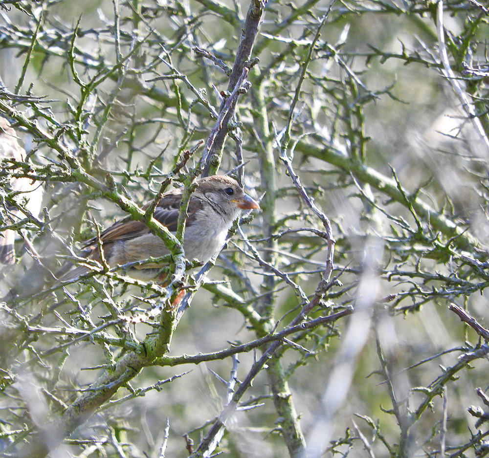 DSCN1859.jpg