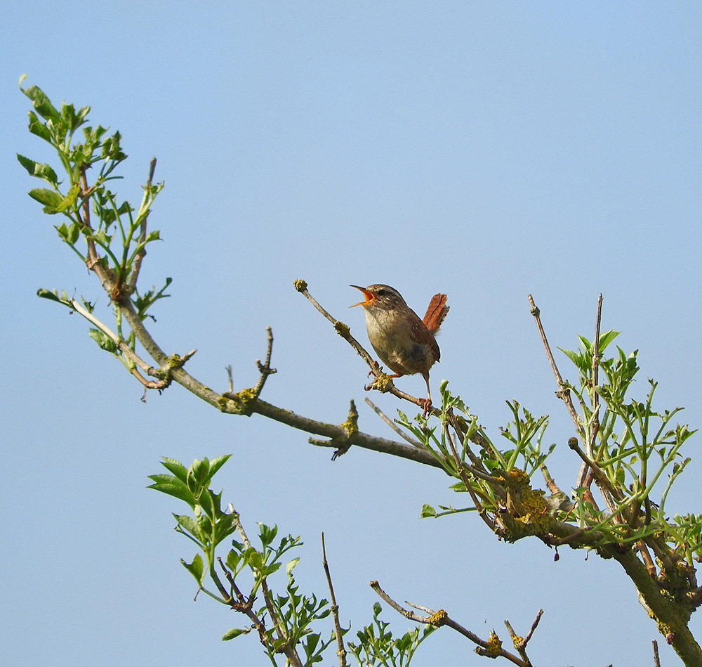 DSCN1876.jpg