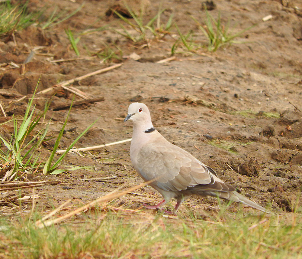 DSCN1891.jpg
