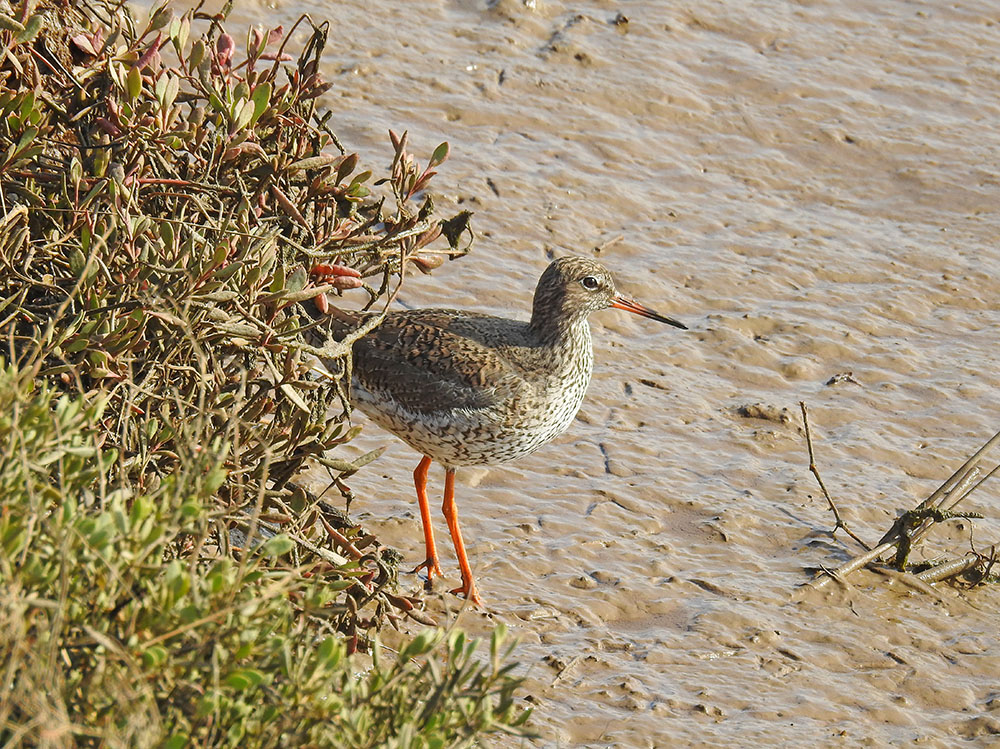 DSCN1891.jpg