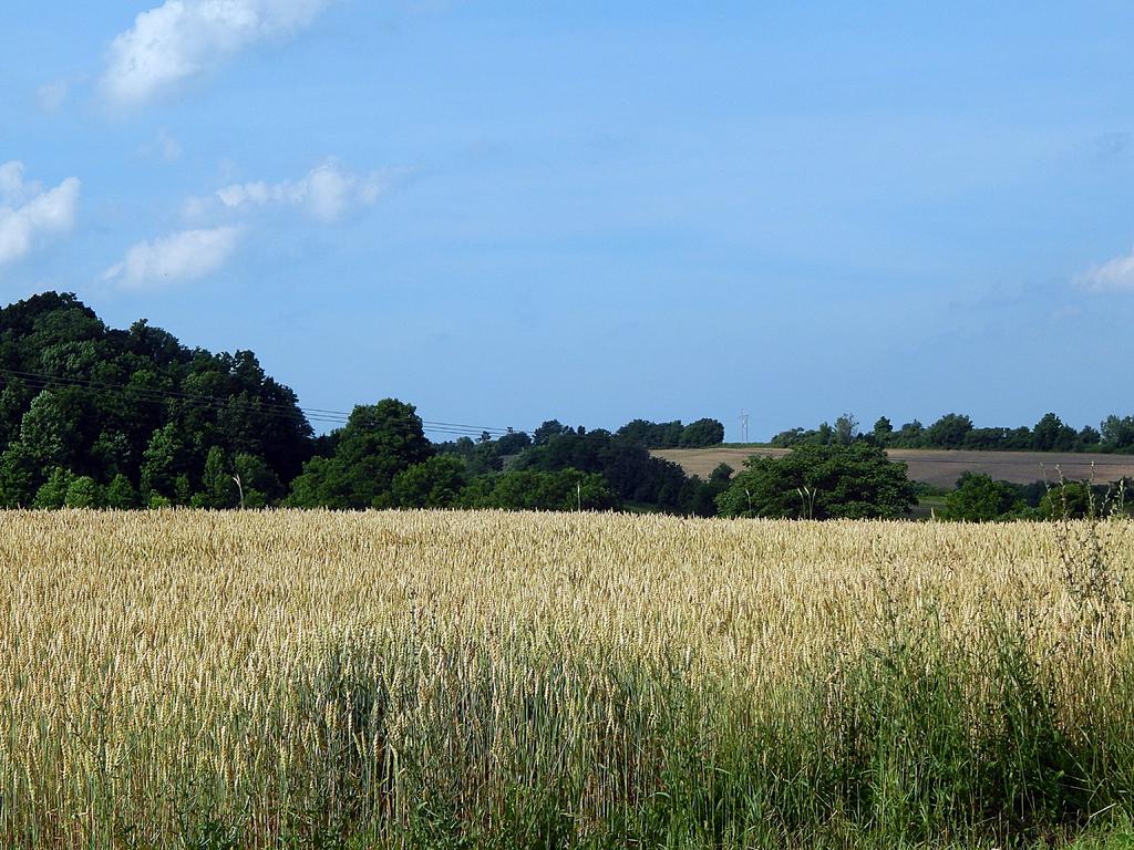 DSCN1902.jpg