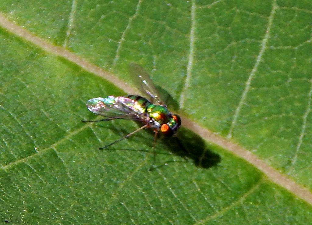 DSCN1955.jpg