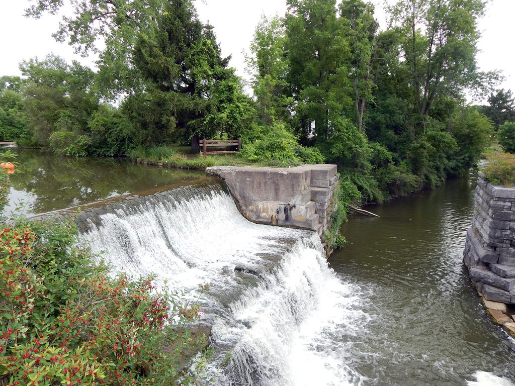 DSCN1979.jpg