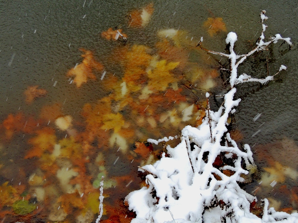 DSCN2004a.jpg