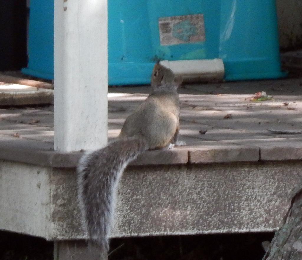 DSCN2026.jpg