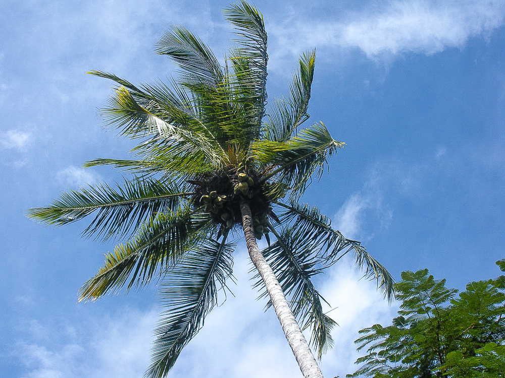 DSCN2054.jpg