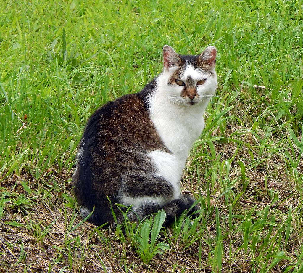 DSCN2084.jpg