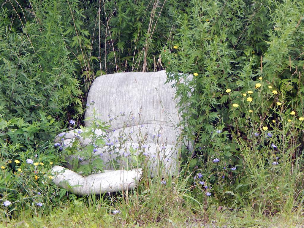 DSCN2085.jpg