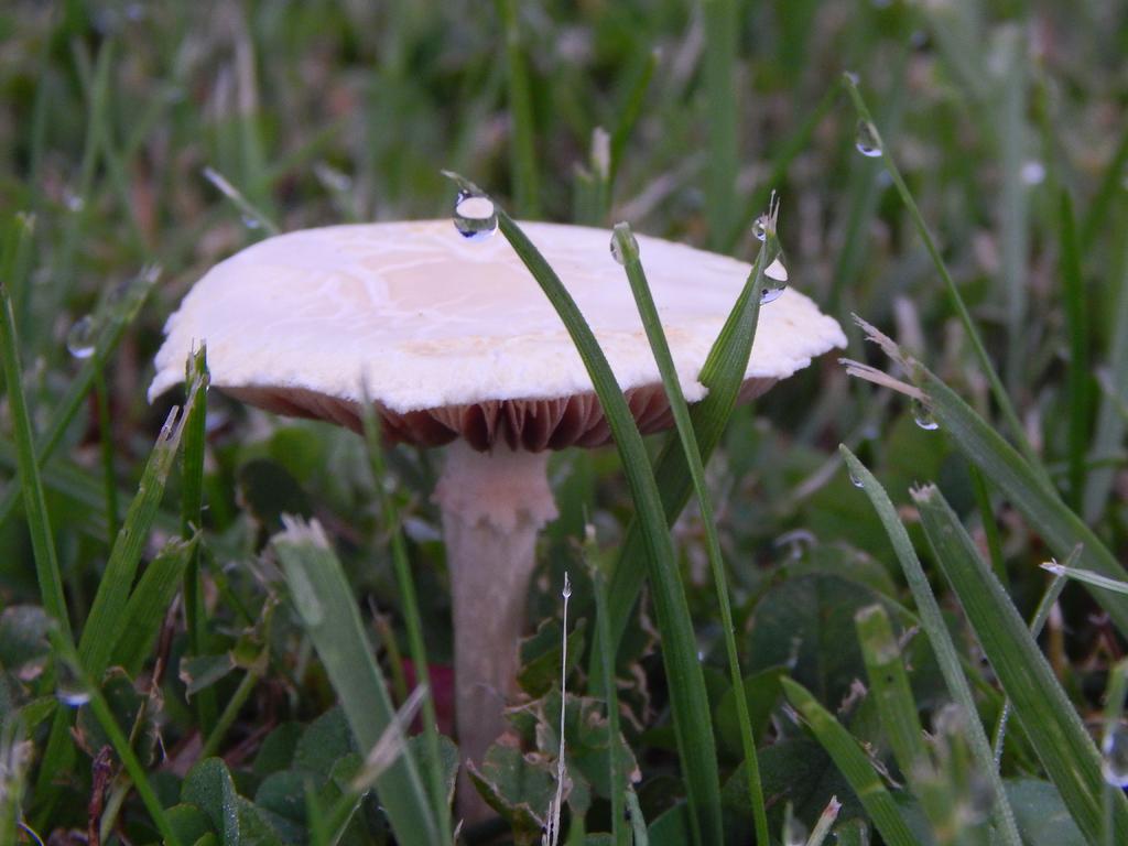 DSCN2122.jpg