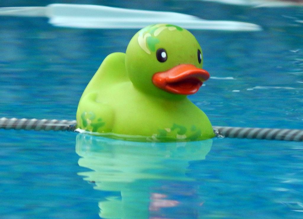 DSCN2136.jpg
