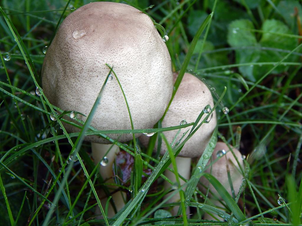 DSCN2139.jpg