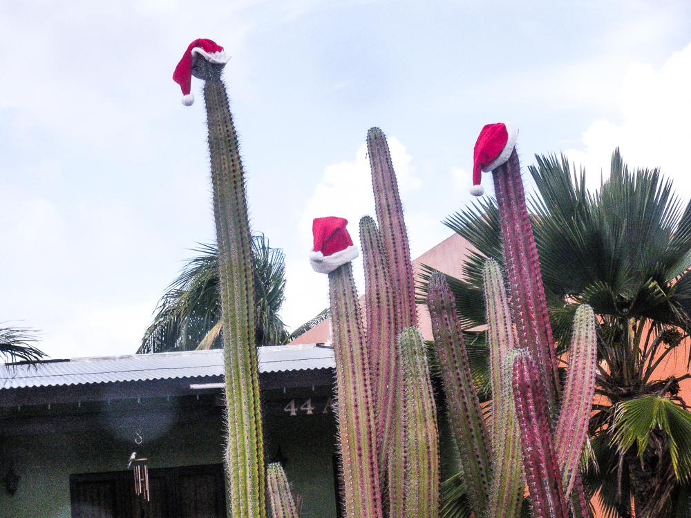 DSCN2147.jpg