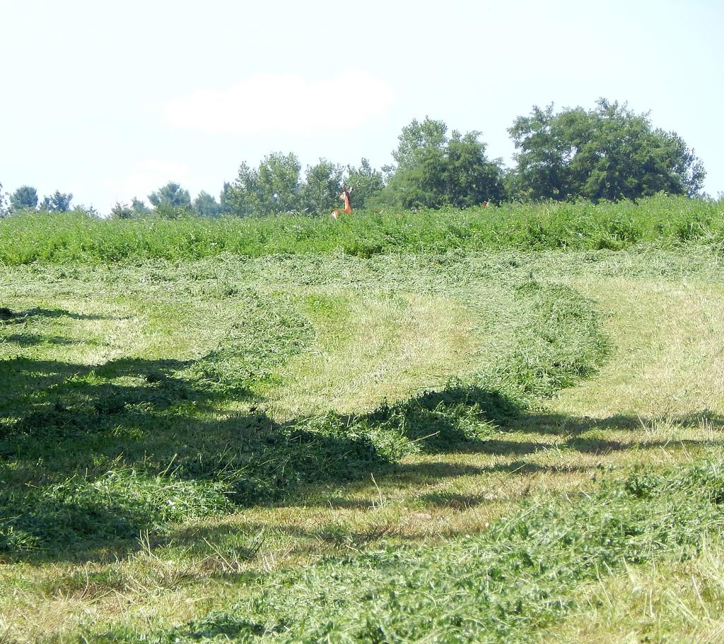 DSCN2150.jpg