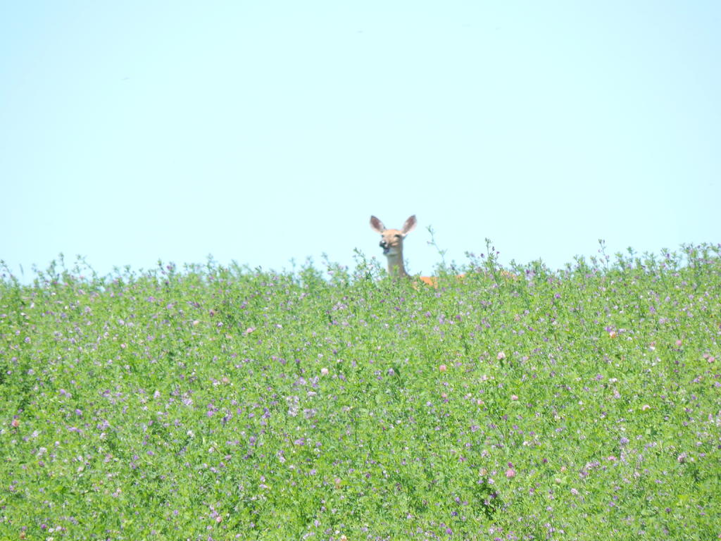 DSCN2154.jpg