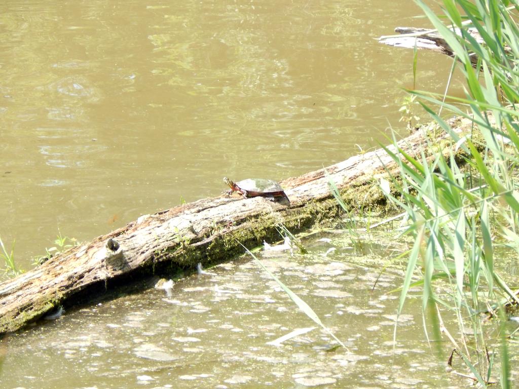 DSCN2159.jpg