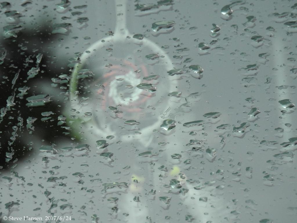DSCN2184.jpg