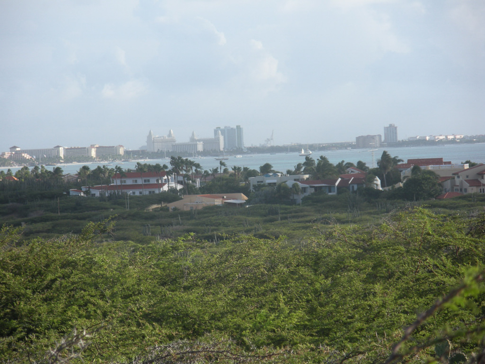 DSCN2202.jpg