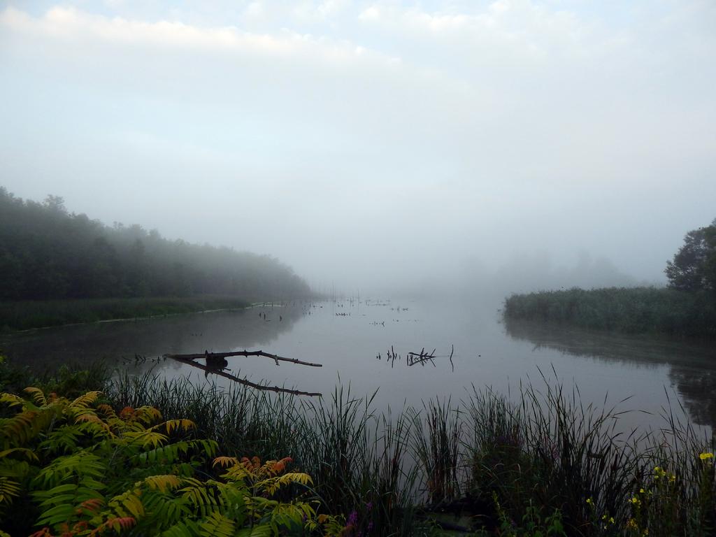 DSCN2207.jpg