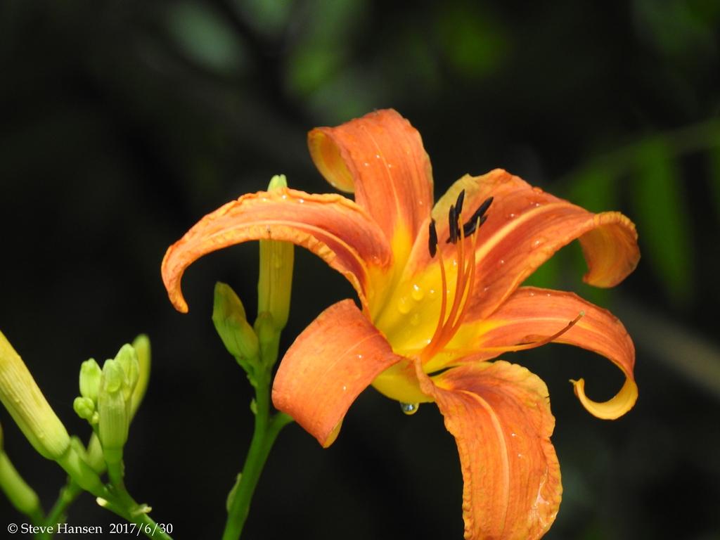 DSCN2210.jpg
