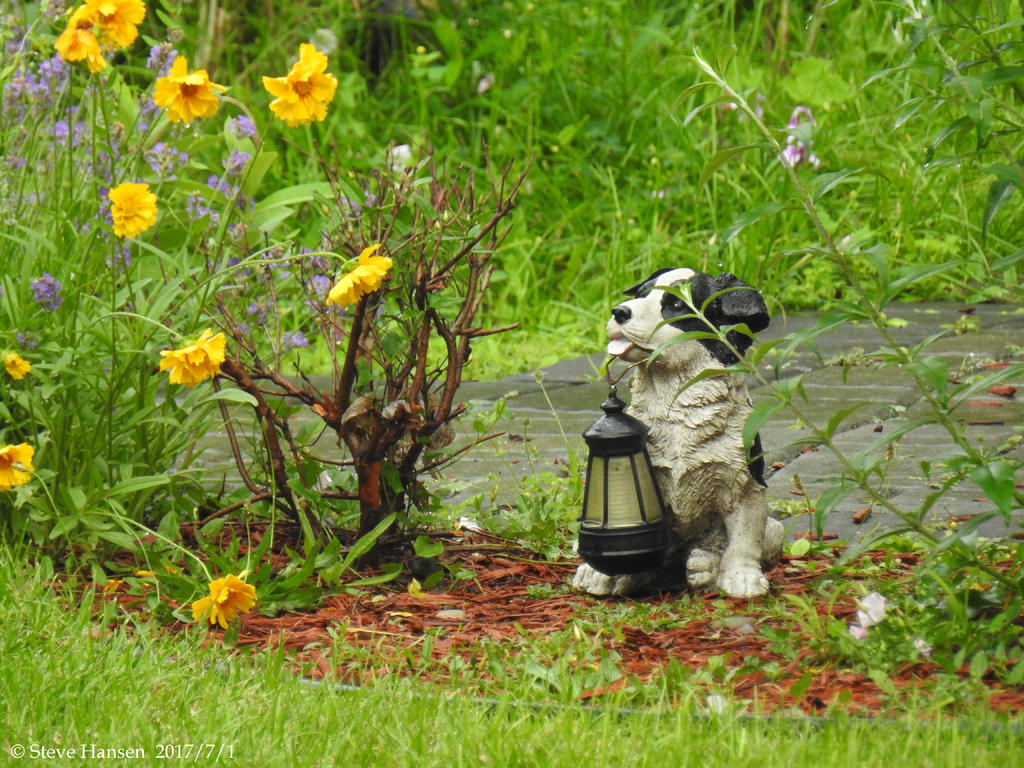 DSCN2216-1.jpg