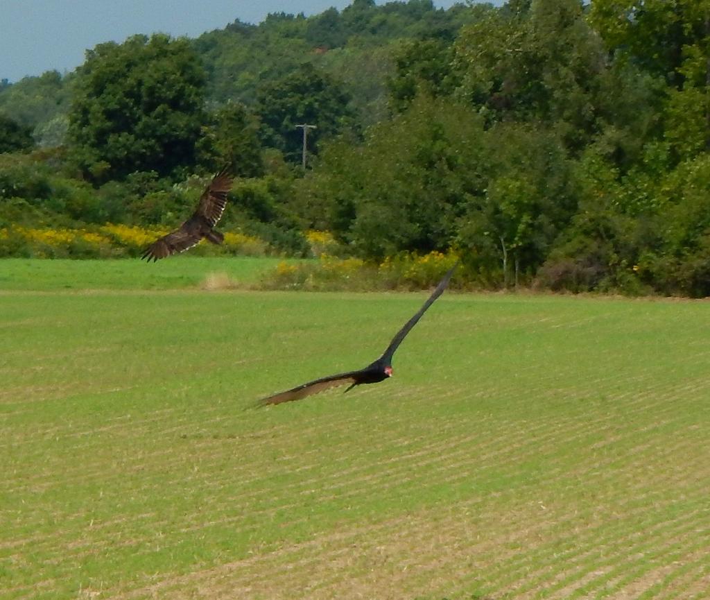 DSCN2233.jpg
