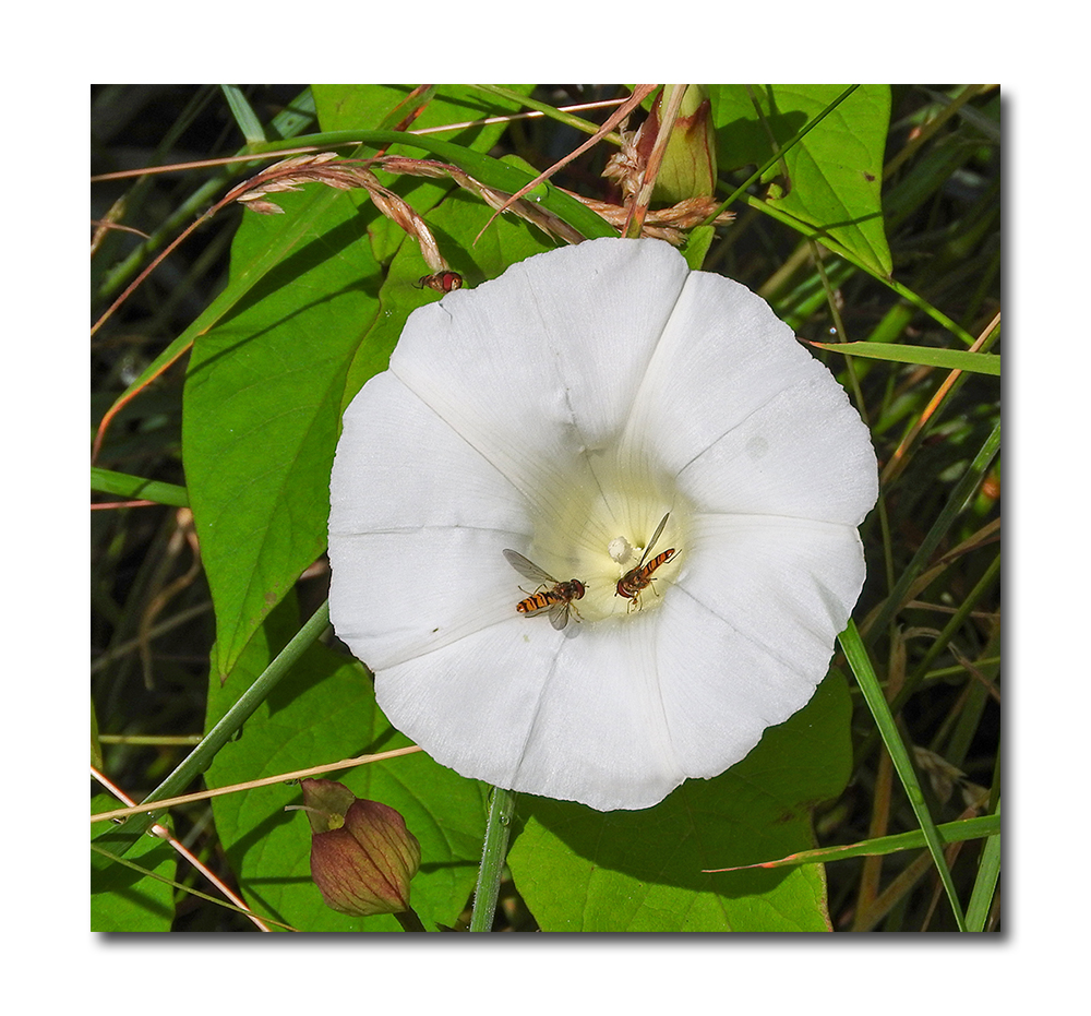 DSCN2253.jpg
